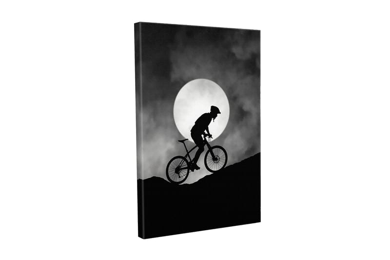 Canvastaulu - Pyöräilijä kiipeää mäkeä suuren kuun alla, Musta / Harmaa