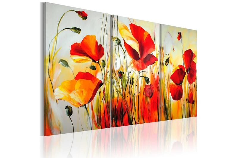 Canvastaulu Punainen niitty112x08 cm - Artgeist sp. z o. o. - Sisustustuotteet - Taulu & taide - Canvas-taulu