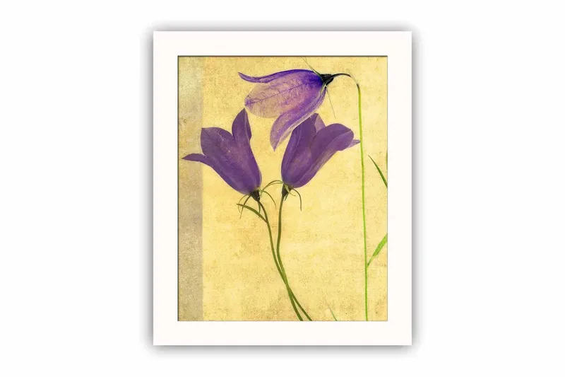 Koriste Kehystetty MDF Maalaus, undefined