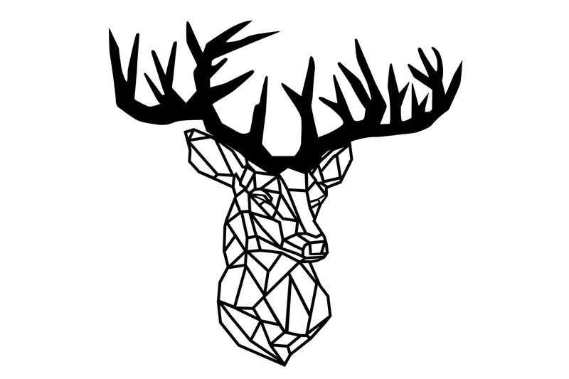 Koriste Seinäteksti, undefined