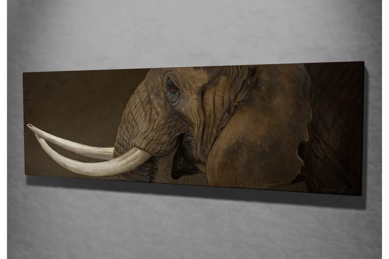 Koristeellinen Canvas Maalaus - Sisustustuotteet - Taulu & taide - Canvas-taulu