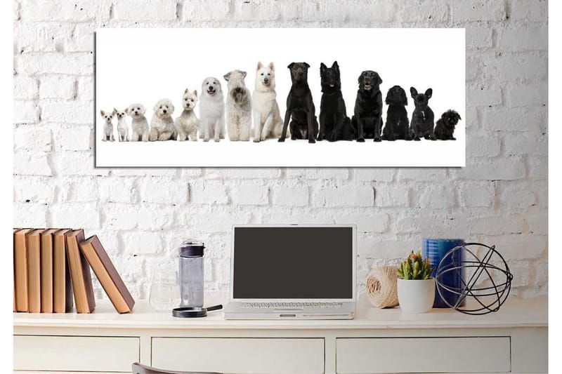 Koristeellinen Canvas Maalaus - Sisustustuotteet - Taulu & taide - Canvas-taulu