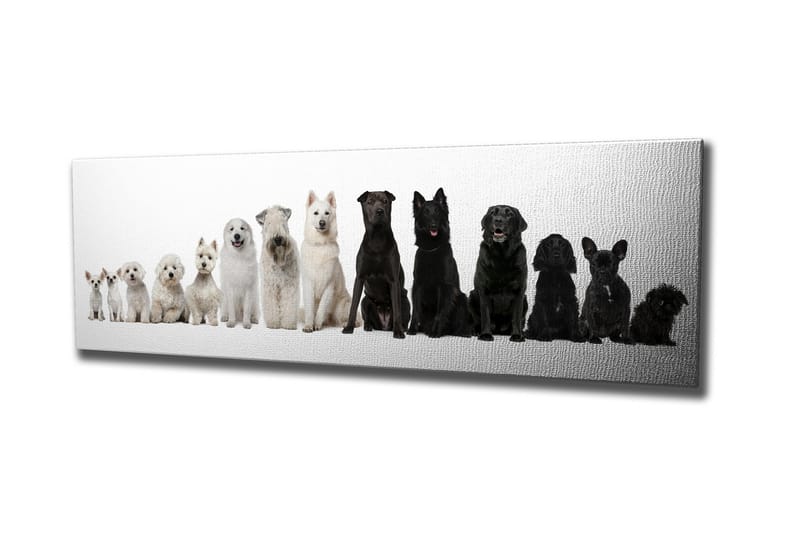 Koristeellinen Canvas Maalaus - Sisustustuotteet - Taulu & taide - Canvas-taulu