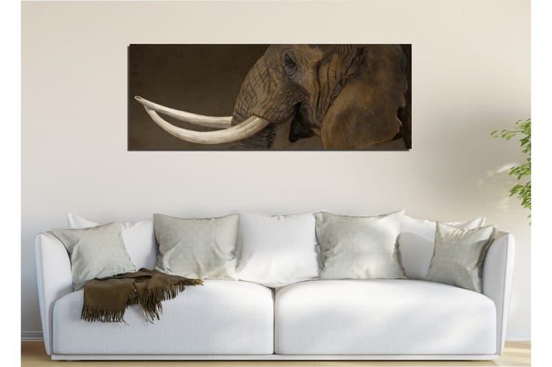 Koristeellinen Canvas Maalaus - Sisustustuotteet - Taulu & taide - Canvas-taulu