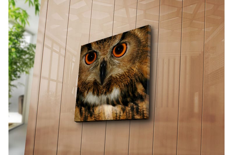 Koristeellinen Canvas Maalaus - Sisustustuotteet - Taulu & taide - Canvas-taulu