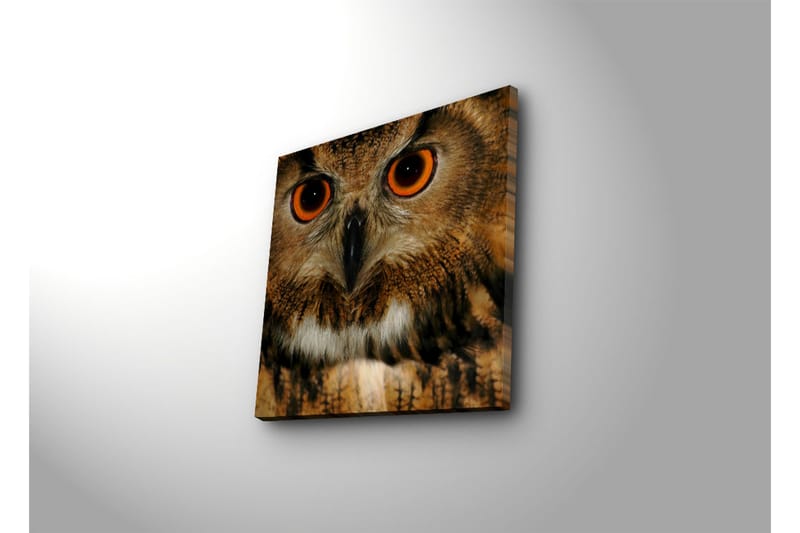 Koristeellinen Canvas Maalaus - Sisustustuotteet - Taulu & taide - Canvas-taulu