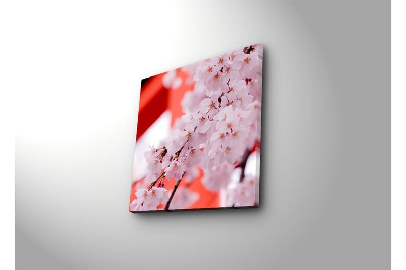 Koristeellinen Canvas Maalaus - Sisustustuotteet - Taulu & taide - Canvas-taulu
