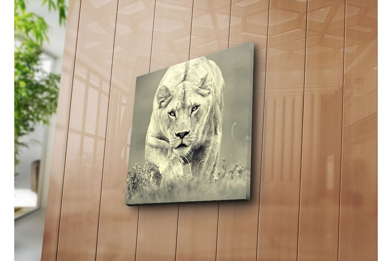 Koristeellinen Canvas Maalaus - Sisustustuotteet - Taulu & taide - Canvas-taulu