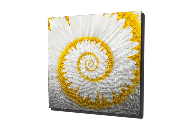Koristeellinen Canvas Maalaus - Sisustustuotteet - Taulu & taide - Canvas-taulu