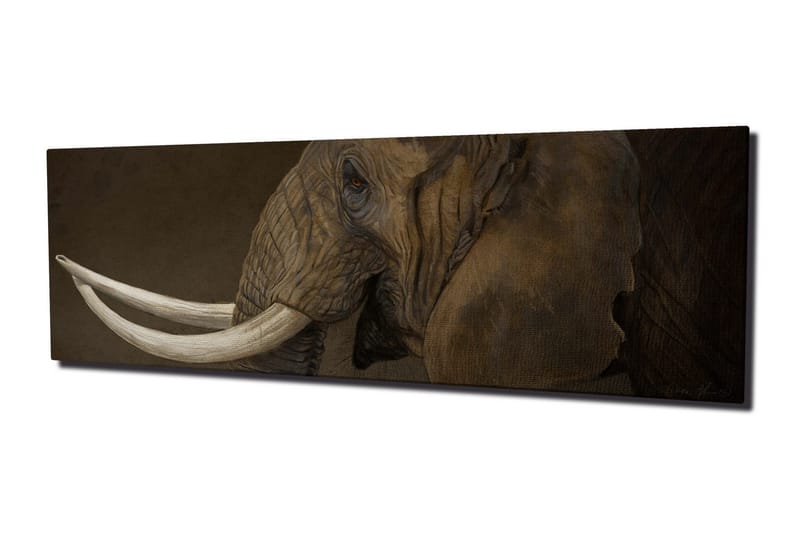 Koristeellinen Canvas Maalaus - Sisustustuotteet - Taulu & taide - Canvas-taulu