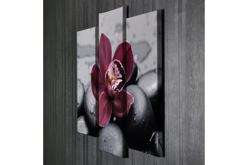 Koristeellinen Canvas Taulu (3 osaa) - Sisustustuotteet - Taulu & taide - Canvas-taulu