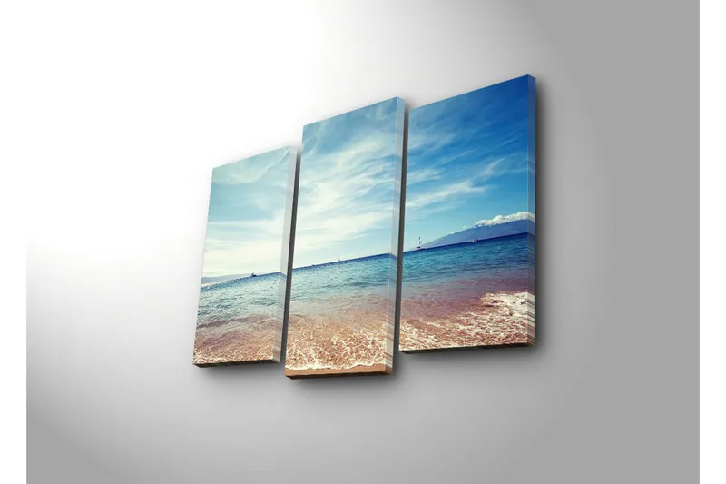 Koristeellinen Canvas Taulu (3 osaa) - Sisustustuotteet - Taulu & taide - Canvas-taulu