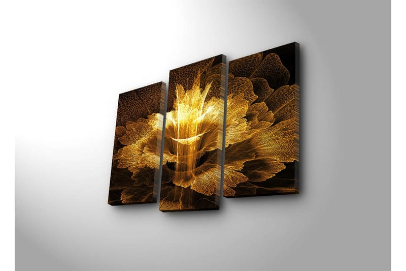 Koristeellinen Canvas Taulu (3 osaa) - Sisustustuotteet - Taulu & taide - Canvas-taulu