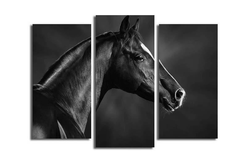 Koristeellinen Canvas Taulu (3 osaa) - Sisustustuotteet - Taulu & taide - Canvas-taulu