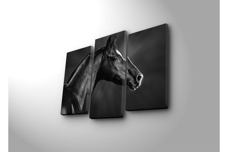 Koristeellinen Canvas Taulu (3 osaa) - Sisustustuotteet - Taulu & taide - Canvas-taulu