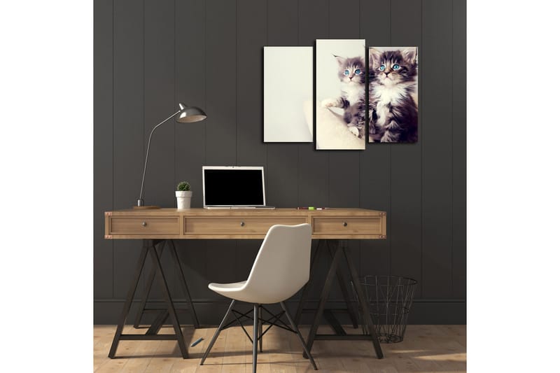 Koristeellinen Canvas Taulu (3 osaa) - Sisustustuotteet - Taulu & taide - Canvas-taulu