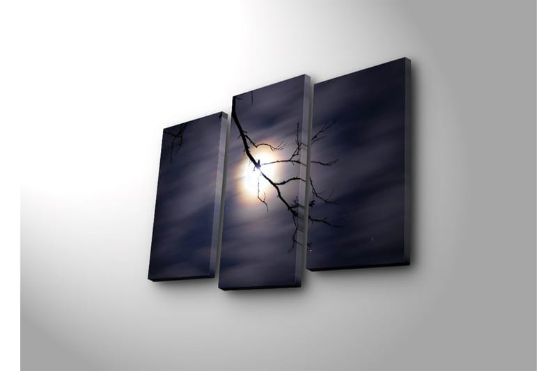 Koristeellinen Canvas Taulu (3 osaa) - Sisustustuotteet - Taulu & taide - Canvas-taulu