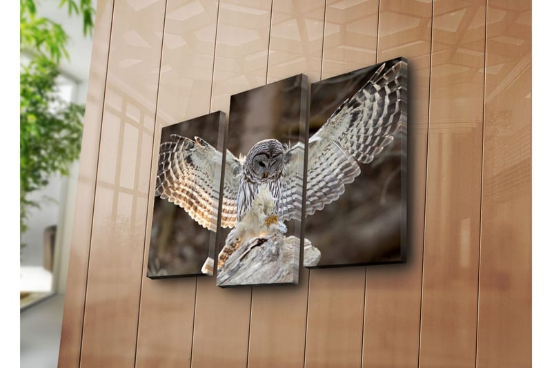 Koristeellinen Canvas Taulu (3 osaa) - Sisustustuotteet - Taulu & taide - Canvas-taulu