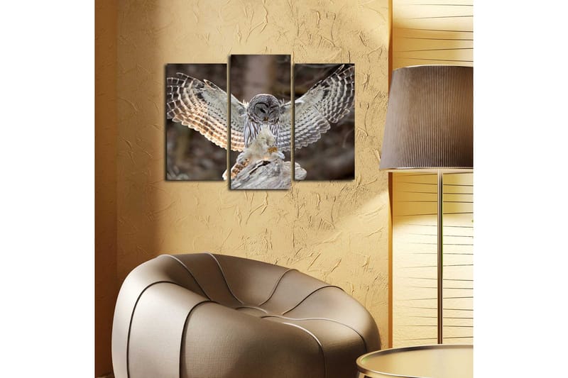 Koristeellinen Canvas Taulu (3 osaa) - Sisustustuotteet - Taulu & taide - Canvas-taulu