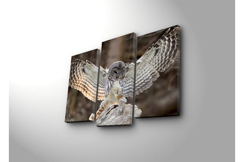 Koristeellinen Canvas Taulu (3 osaa) - Sisustustuotteet - Taulu & taide - Canvas-taulu