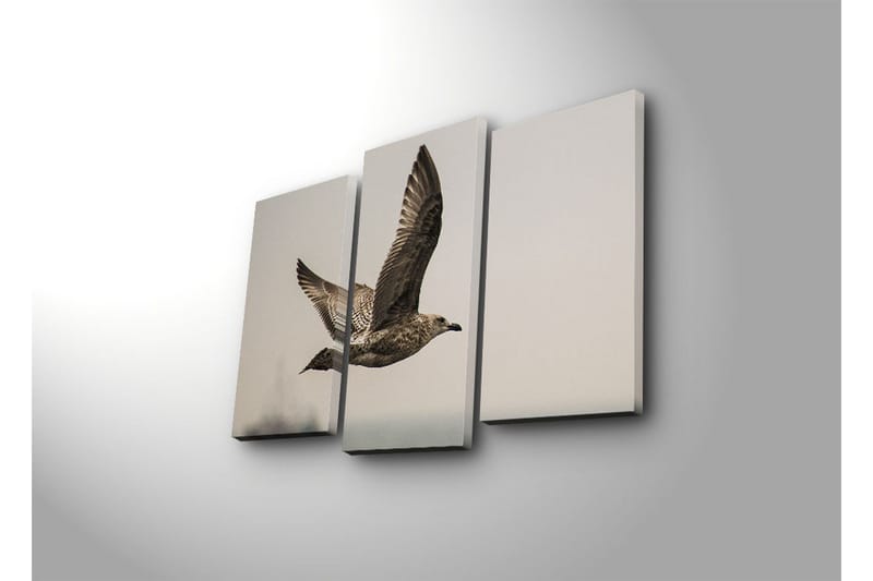 Koristeellinen Canvas Taulu (3 osaa) - Sisustustuotteet - Taulu & taide - Canvas-taulu