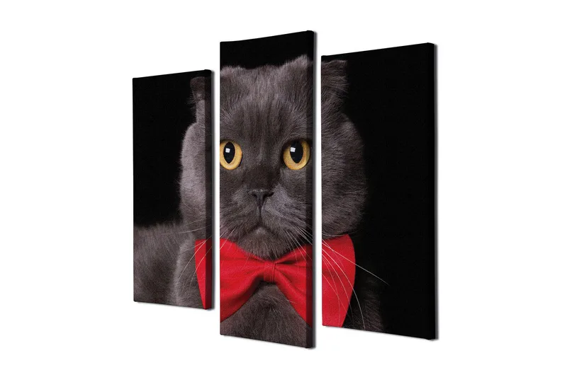 Koristeellinen Canvas Taulu (3 osaa), undefined