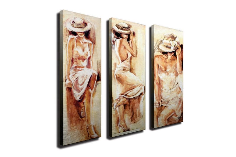 Koristeellinen Canvas Taulu (3 osaa) - Sisustustuotteet - Taulu & taide - Canvas-taulu