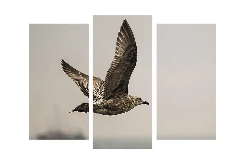 Koristeellinen Canvas Taulu (3 osaa) - Sisustustuotteet - Taulu & taide - Canvas-taulu