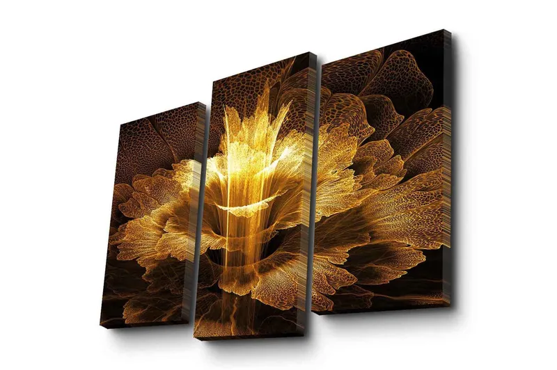 Koristeellinen Canvas Taulu (3 osaa) - Sisustustuotteet - Taulu & taide - Canvas-taulu