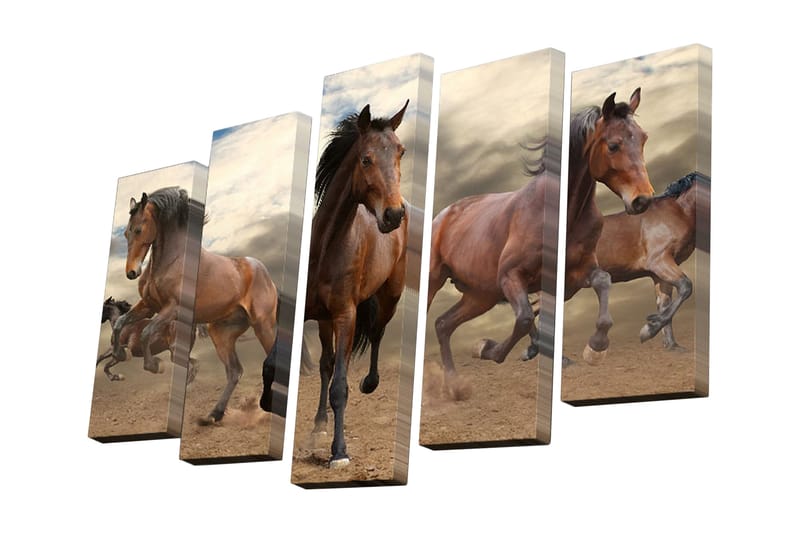 Koristeellinen Canvas Taulu (5 osaa) - Sisustustuotteet - Taulu & taide - Canvas-taulu