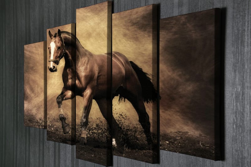 Koristeellinen Canvas Taulu (5 osaa) - Sisustustuotteet - Taulu & taide - Canvas-taulu