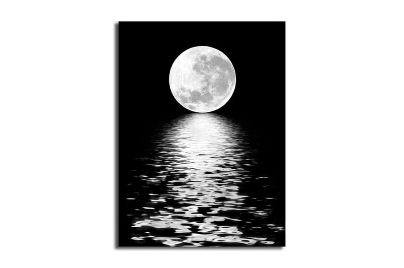 Koristeellinen Canvastaulu 28x38 cm, Monivärinen