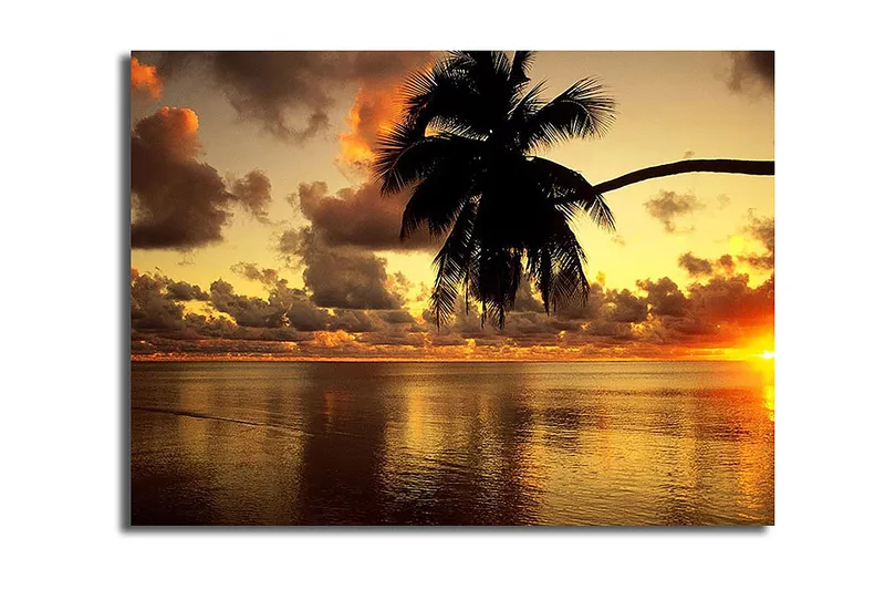 Koristeellinen Canvastaulu 28x38 cm, Monivärinen