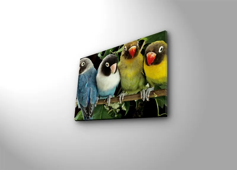 Koristeellinen Canvastaulu 28x38 cm, Monivärinen