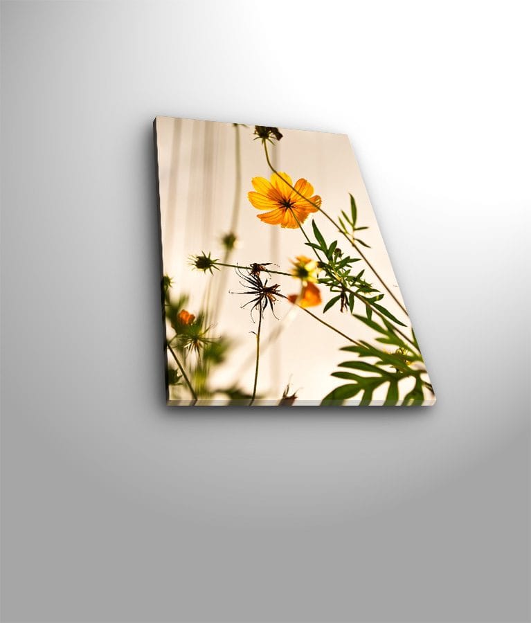 Koristeellinen Canvastaulu 28x38 cm - Monivärinen - Sisustustuotteet - Taulu & taide - Canvas-taulu