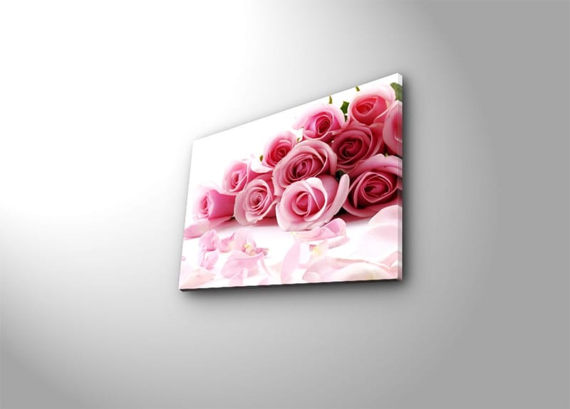 Koristeellinen Canvastaulu 28x38 cm, Monivärinen