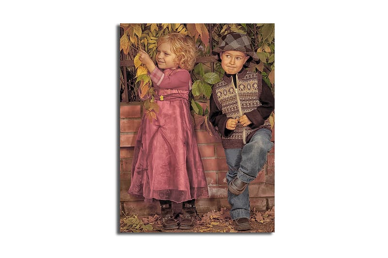 Koristeellinen Canvastaulu 28x38 cm, Monivärinen