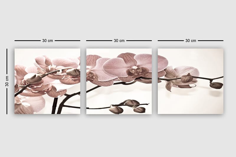 Koristeellinen Canvastaulu 3-os 30x30 cm - Monivärinen - Sisustustuotteet - Taulu & taide - Canvas-taulu