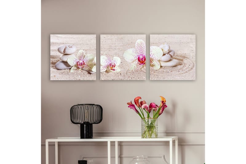 Koristeellinen Canvastaulu 3-os 30x30 cm, Monivärinen