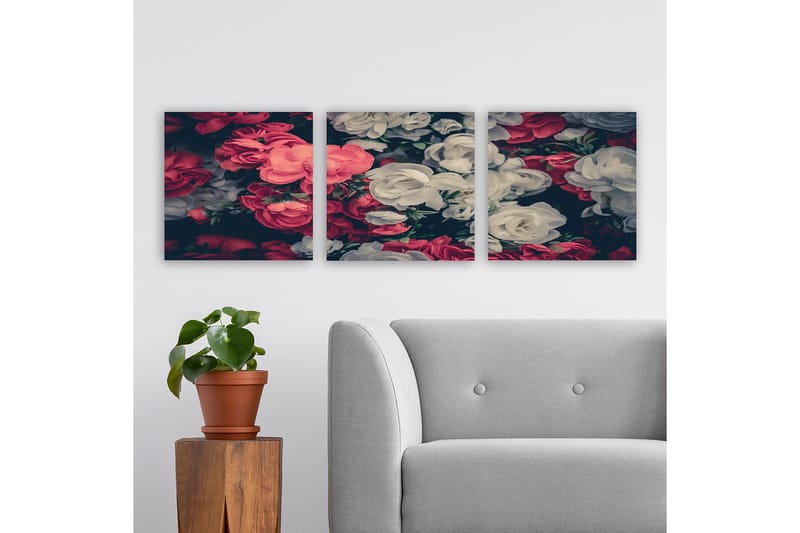 Koristeellinen Canvastaulu 3-os 30x30 cm, Monivärinen