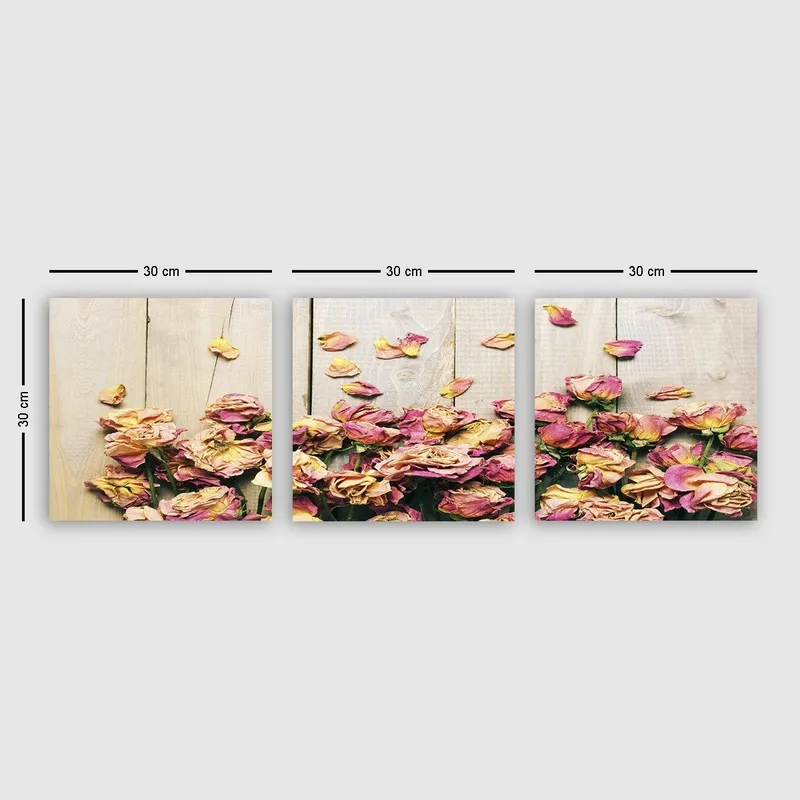 Koristeellinen Canvastaulu 3-os 30x30 cm, Monivärinen