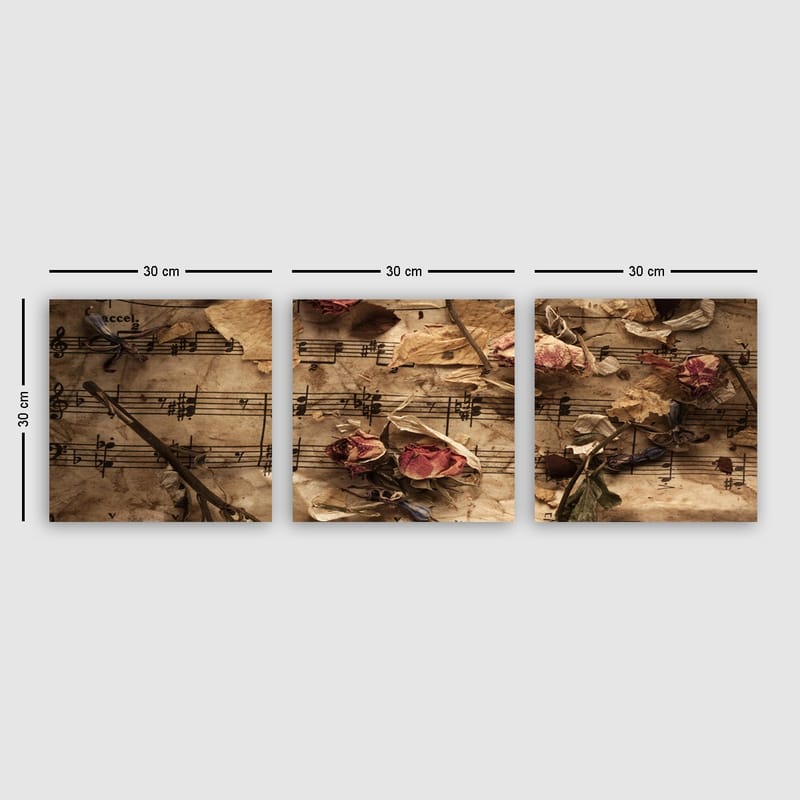 Koristeellinen Canvastaulu 3-os 30x30 cm - Monivärinen - Sisustustuotteet - Taulu & taide - Canvas-taulu
