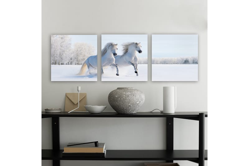Koristeellinen Canvastaulu 3-os 30x30 cm - Monivärinen - Sisustustuotteet - Taulu & taide - Canvas-taulu