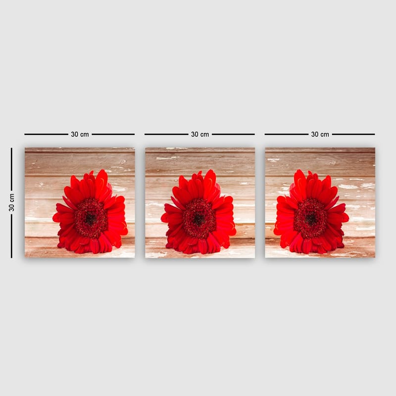 Koristeellinen Canvastaulu 3-os 30x30 cm - Monivärinen - Sisustustuotteet - Taulu & taide - Canvas-taulu