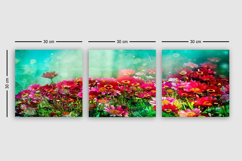 Koristeellinen Canvastaulu 3-os 30x30 cm - Monivärinen - Sisustustuotteet - Taulu & taide - Canvas-taulu