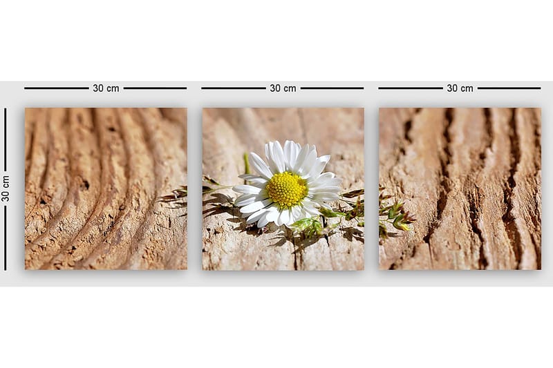 Koristeellinen Canvastaulu 3-os 30x30 cm - Monivärinen - Sisustustuotteet - Taulu & taide - Canvas-taulu