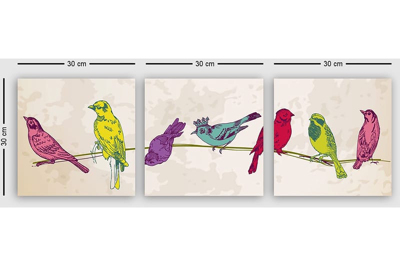 Koristeellinen Canvastaulu 3-os 30x30 cm - Monivärinen - Sisustustuotteet - Taulu & taide - Canvas-taulu