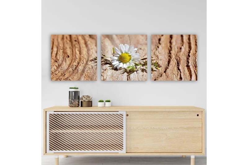 Koristeellinen Canvastaulu 3-os 30x30 cm, Monivärinen