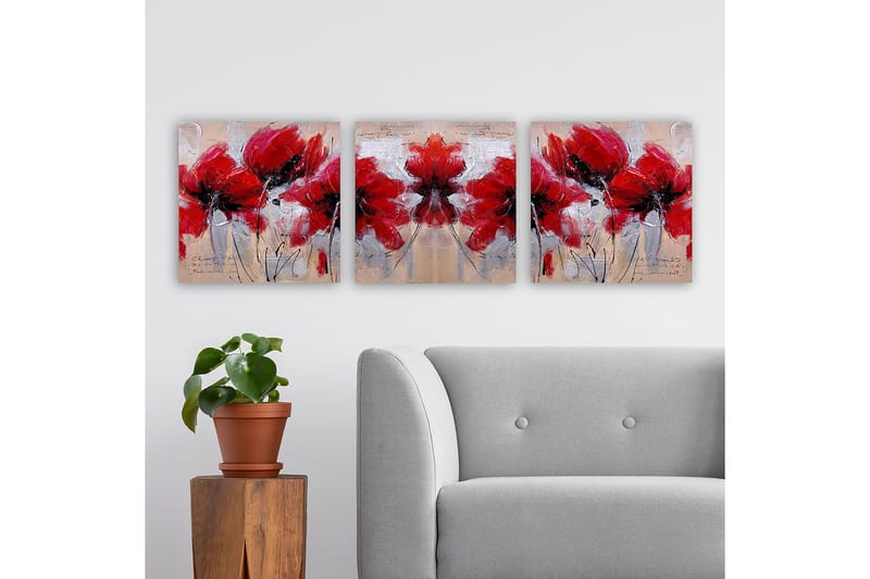 Koristeellinen Canvastaulu 3-os 30x30 cm, Monivärinen