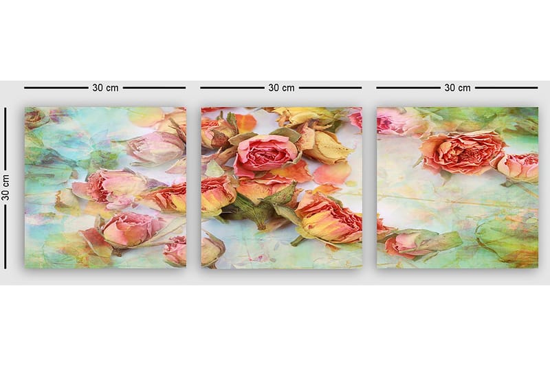 Koristeellinen Canvastaulu 3-os 30x30 cm - Monivärinen - Sisustustuotteet - Taulu & taide - Canvas-taulu